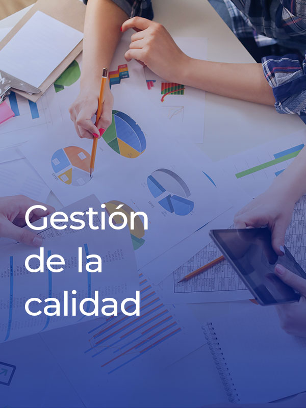 1-gestion-de-la-calidad