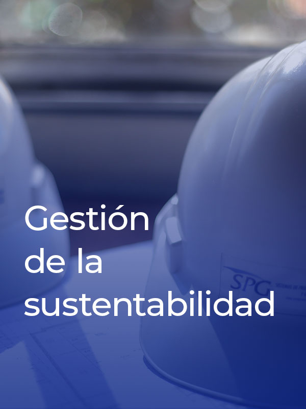10-gestion-de-la-sustentabilidad