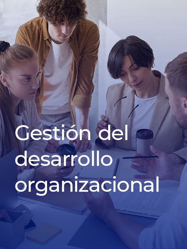 6-gestion-de-desarrollo