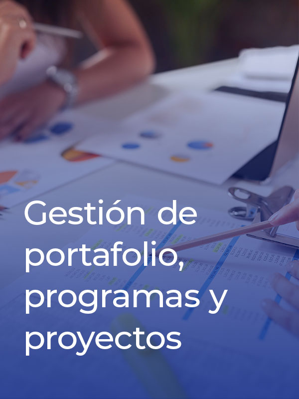 7-gestion-de-proyectos